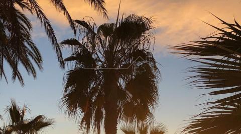 Playa Fontanilla